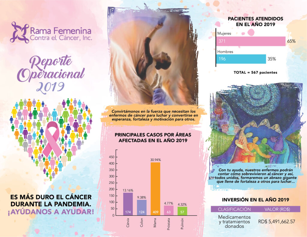 Reporte-Operacional-2019-FINAL-01-1024x791